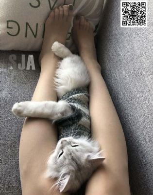 轩辕剑之汉之云