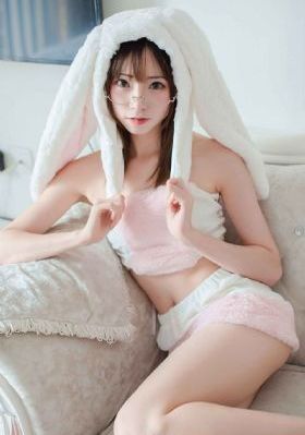 我的团长我的团48集免费观看