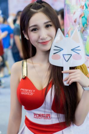 追捕者