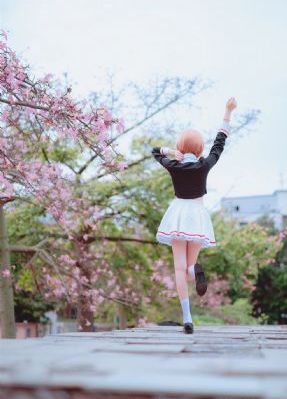 1982年肉莲花