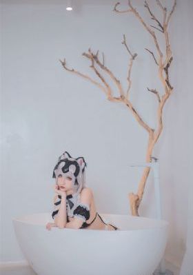 回复术士的重启人生第一季